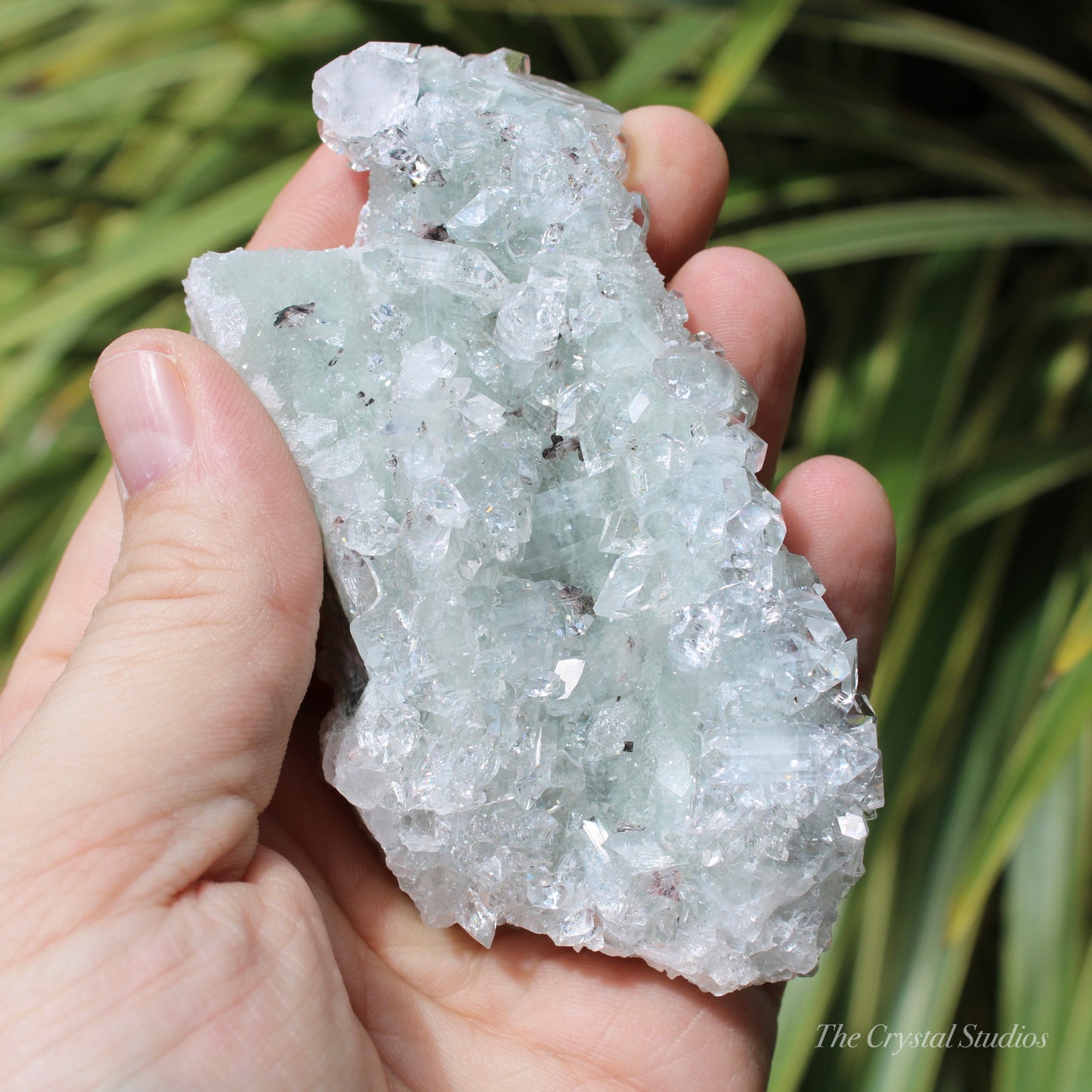 Apophyllite on Blue Chalcedony Natural Crystal Cluster