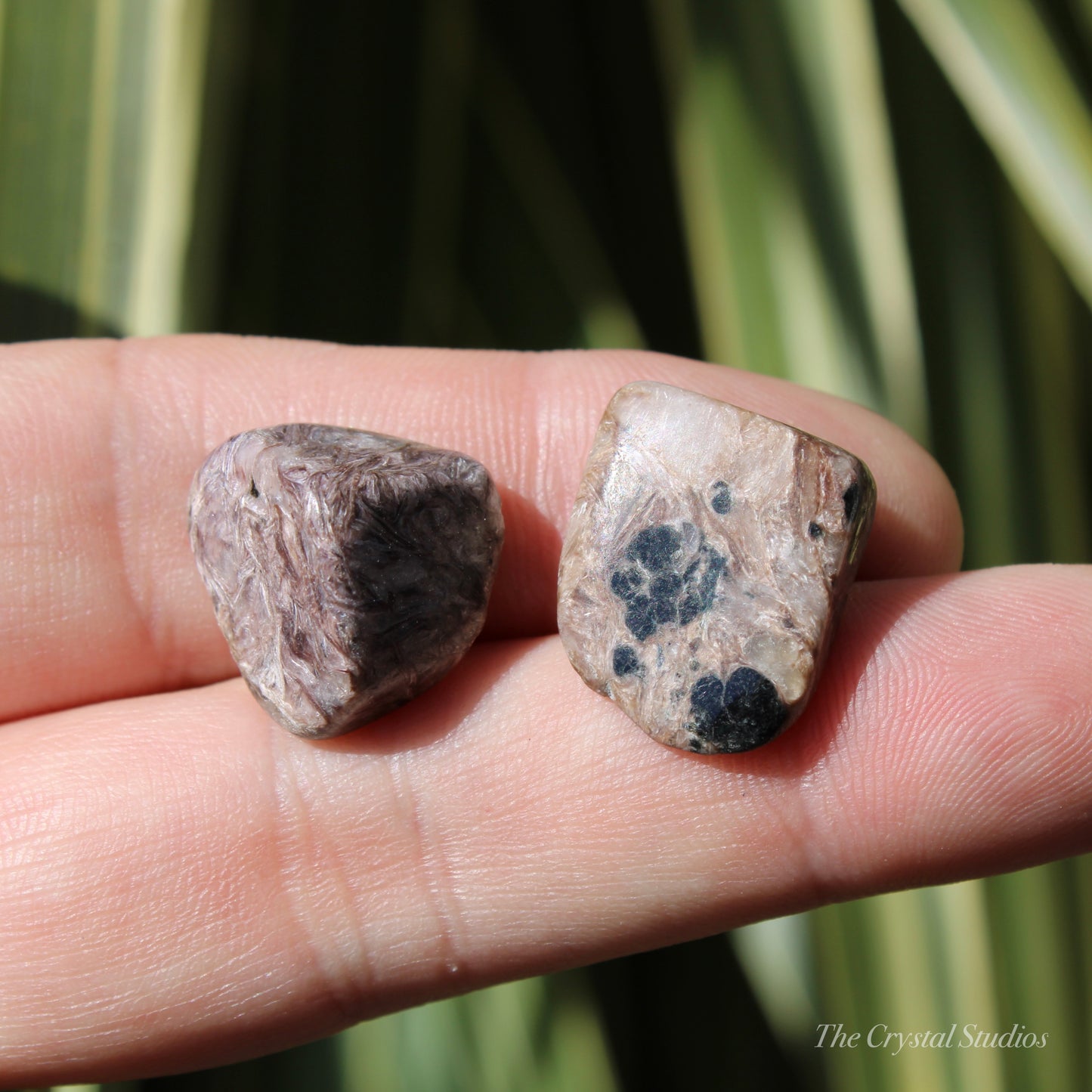 Charoite Polished Crystal Tumblestone Set