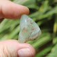 Andean Blue Opal Polished Crystal Tumblestone