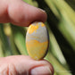 Bumble Bee Jasper Polished Cabochon