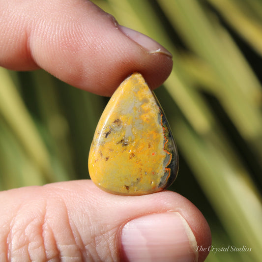 Bumble Bee Jasper Polished Cabochon