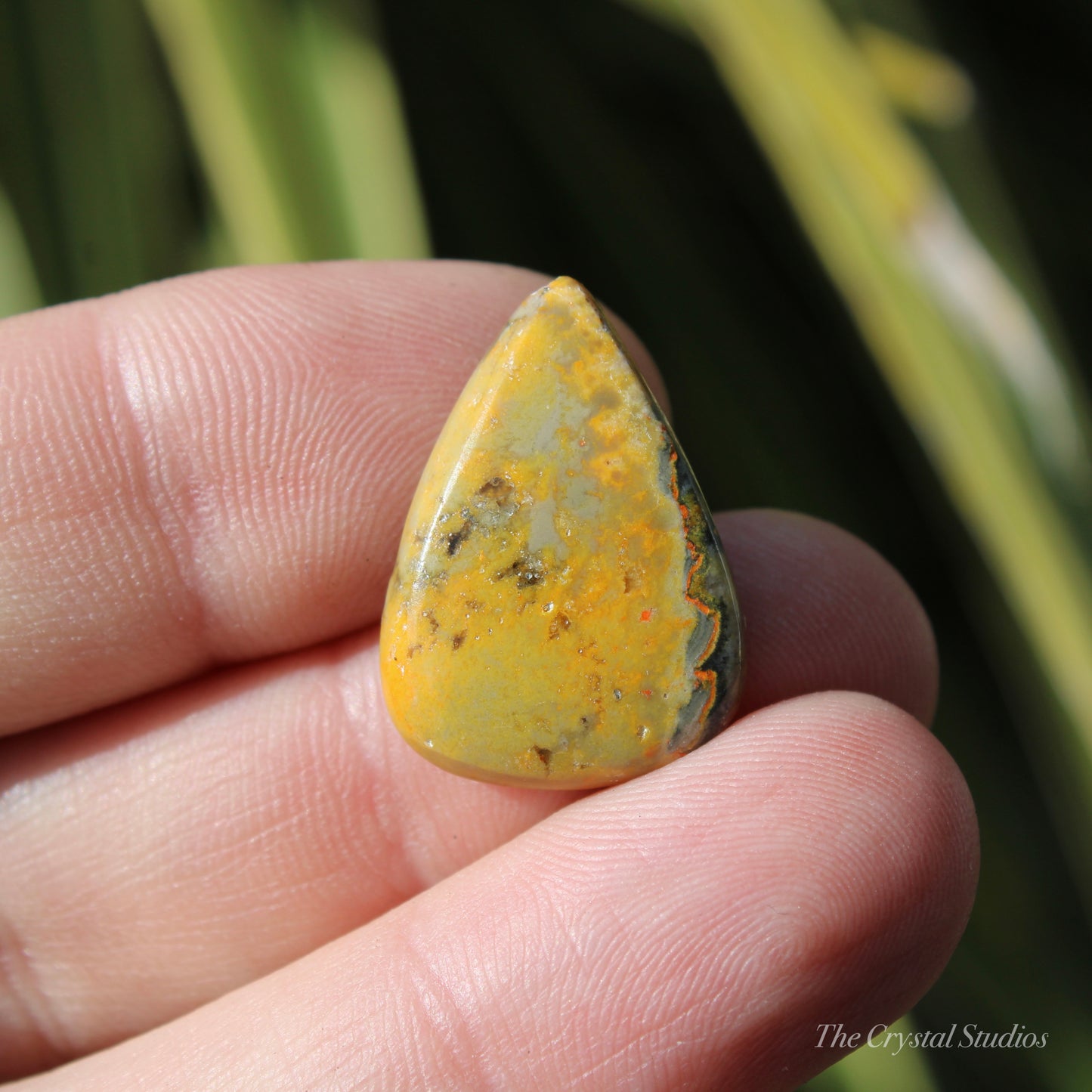 Bumble Bee Jasper Polished Cabochon