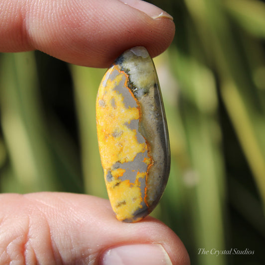 Bumble Bee Jasper Polished Cabochon