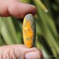 Bumble Bee Jasper Polished Cabochon