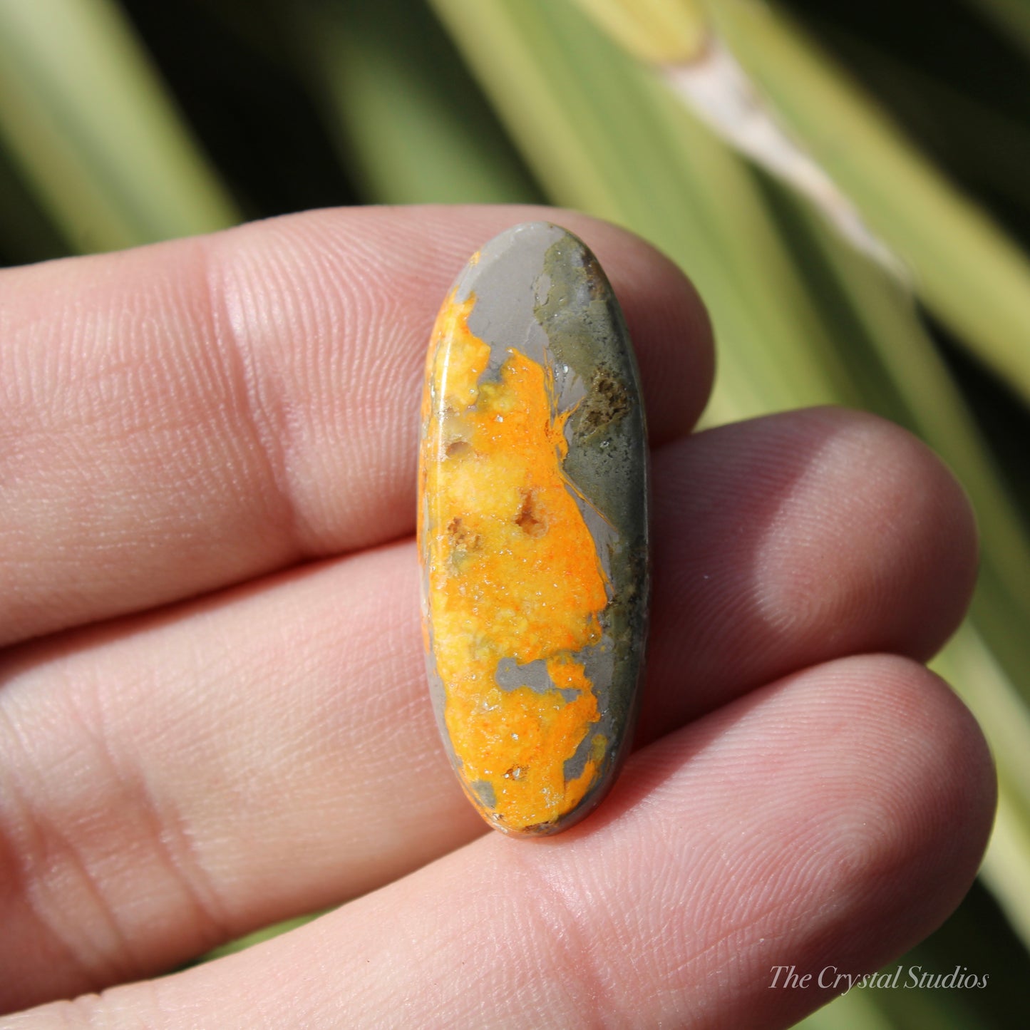 Bumble Bee Jasper Polished Cabochon