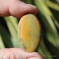 Bumble Bee Jasper Polished Cabochon