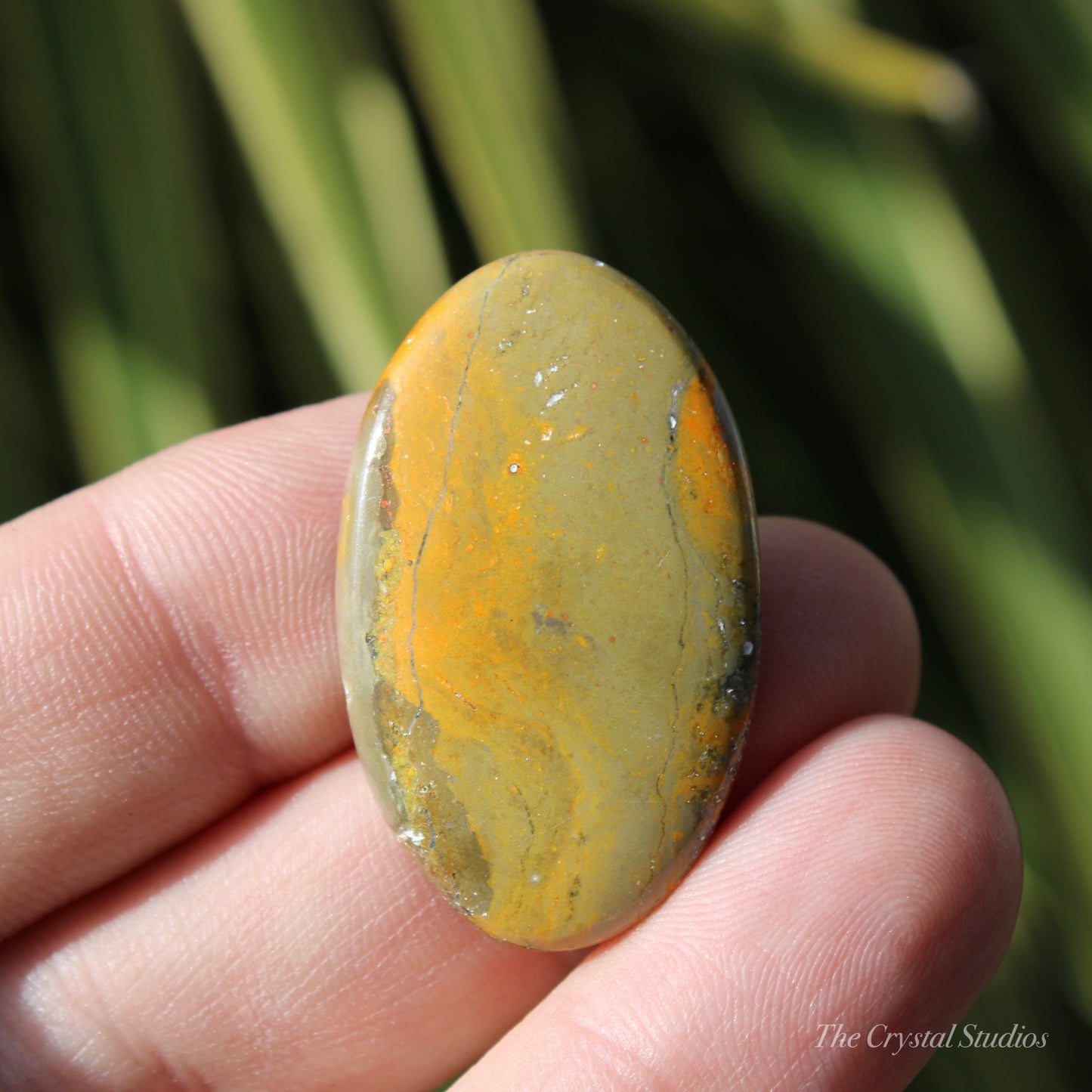 Bumble Bee Jasper Polished Cabochon