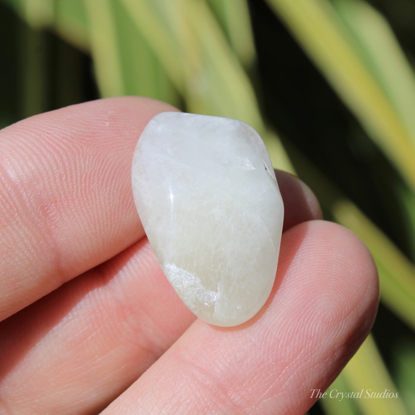 Sulphur in Quartz Polished Crystal Tumblestone