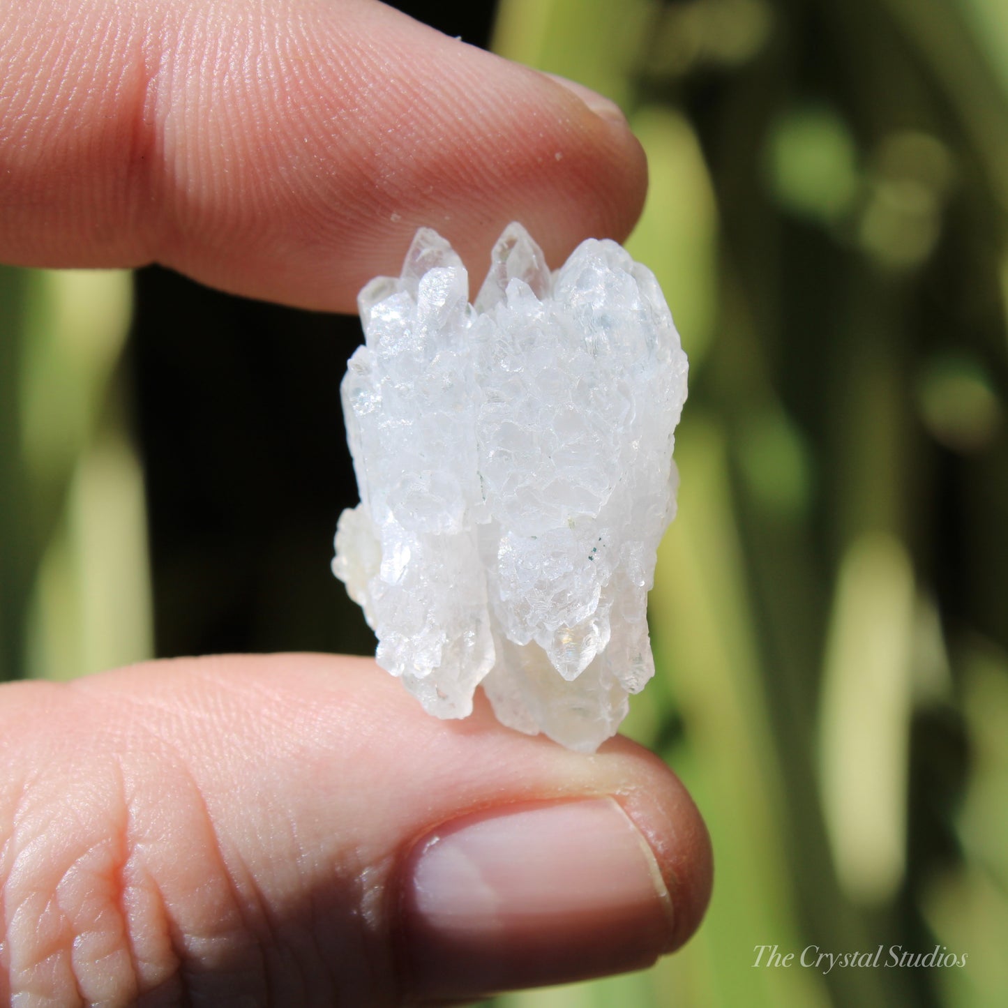 Flower Amethyst Natural Crystal Shard