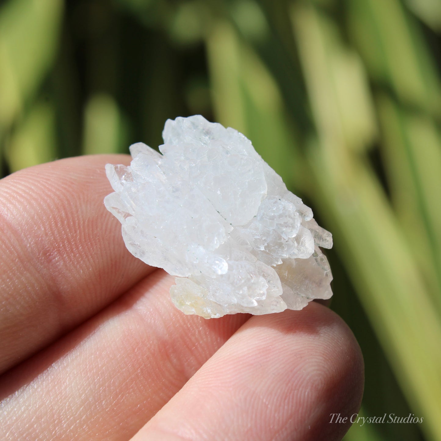 Flower Amethyst Natural Crystal Shard