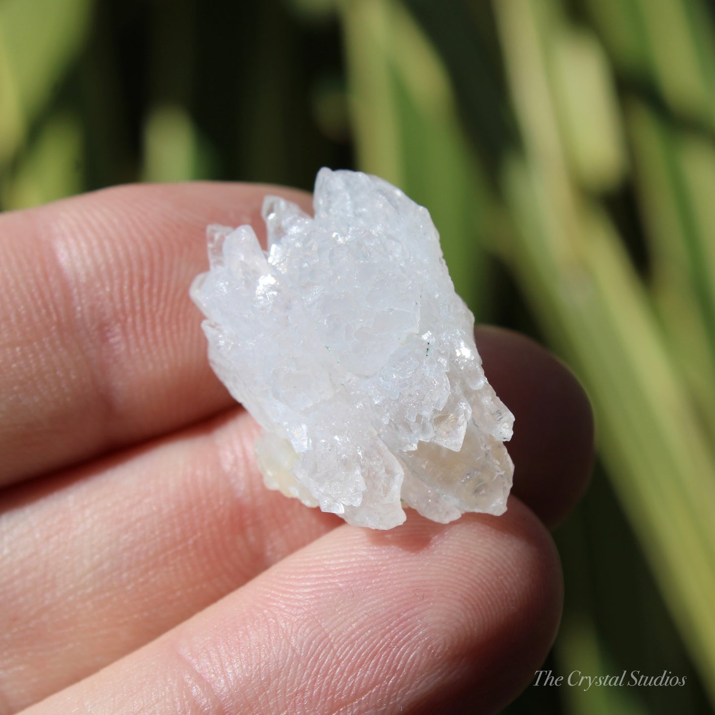 Flower Amethyst Natural Crystal Shard