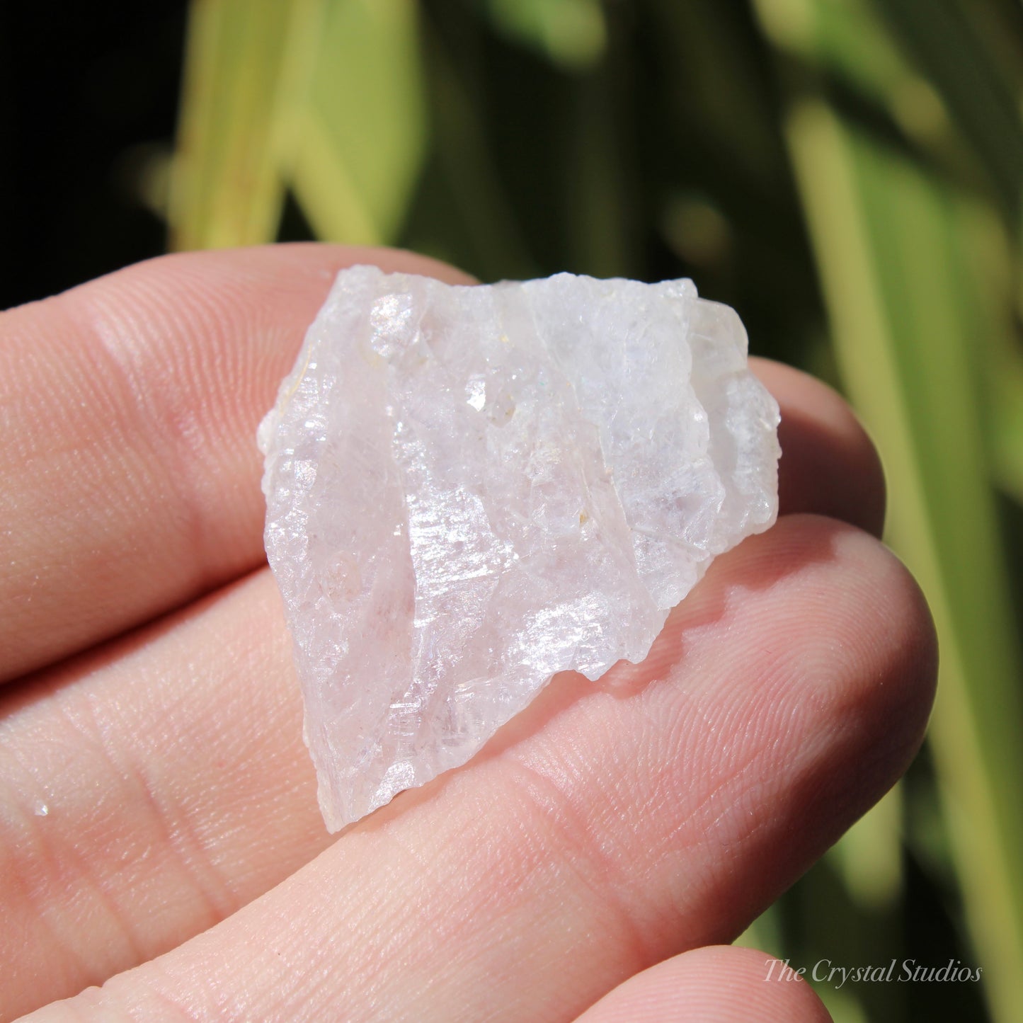 Flower Amethyst Natural Crystal Shard