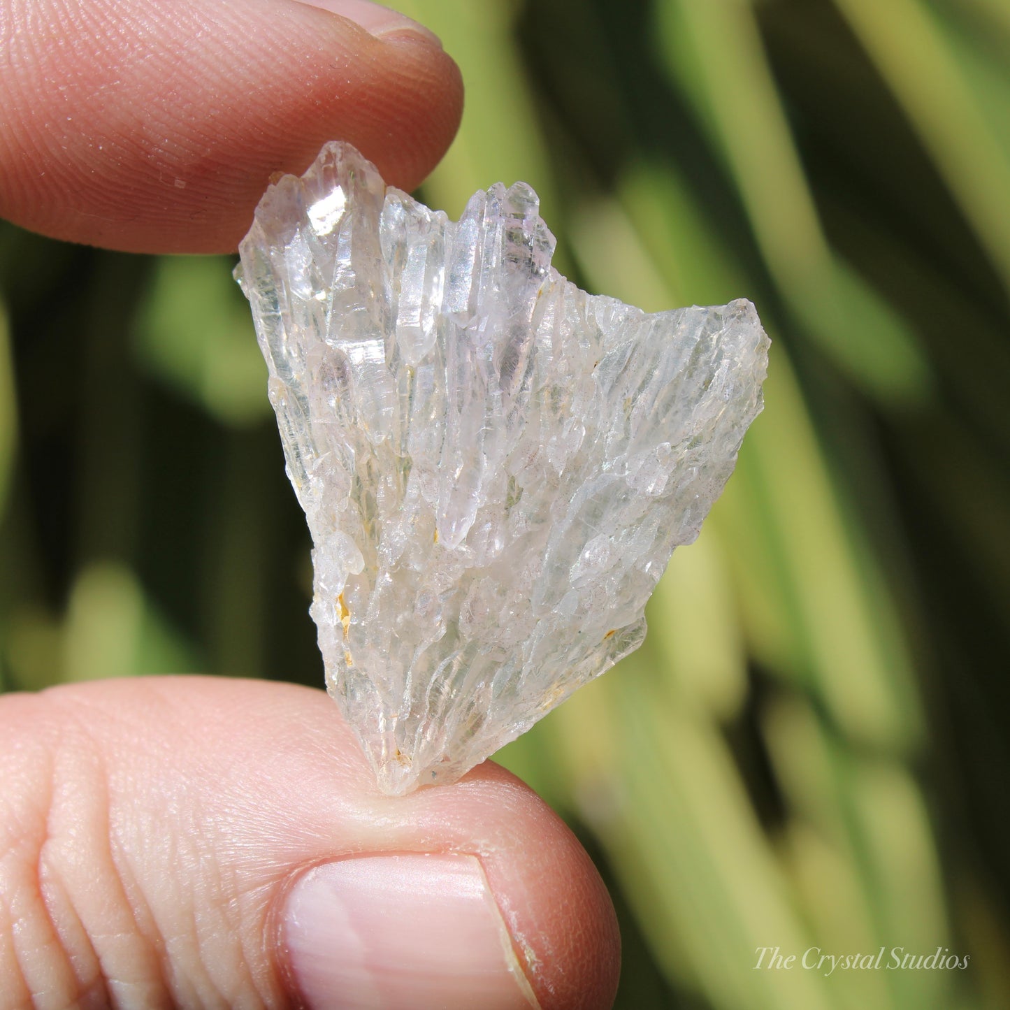 Flower Amethyst Natural Crystal Shard