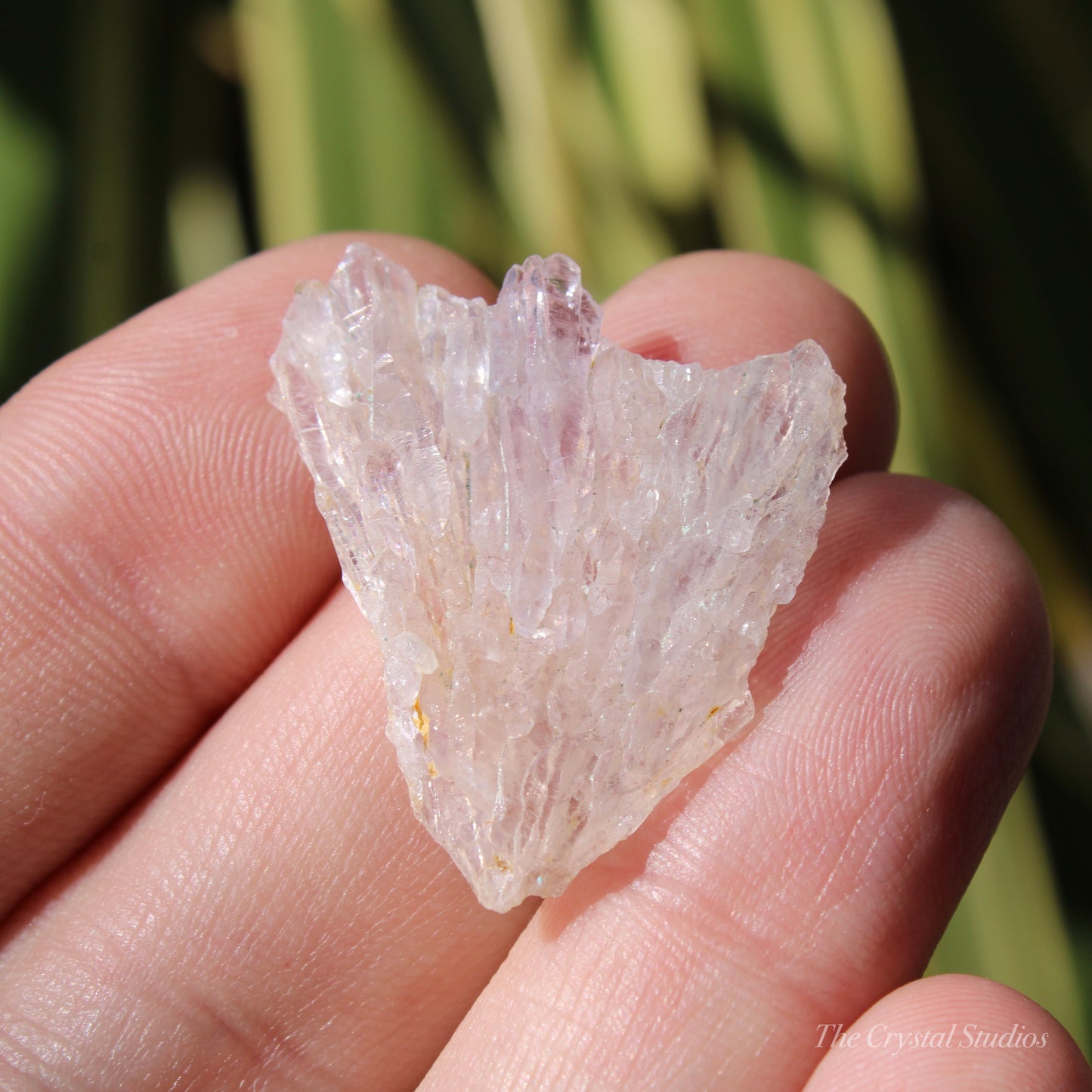 Flower Amethyst Natural Crystal Shard