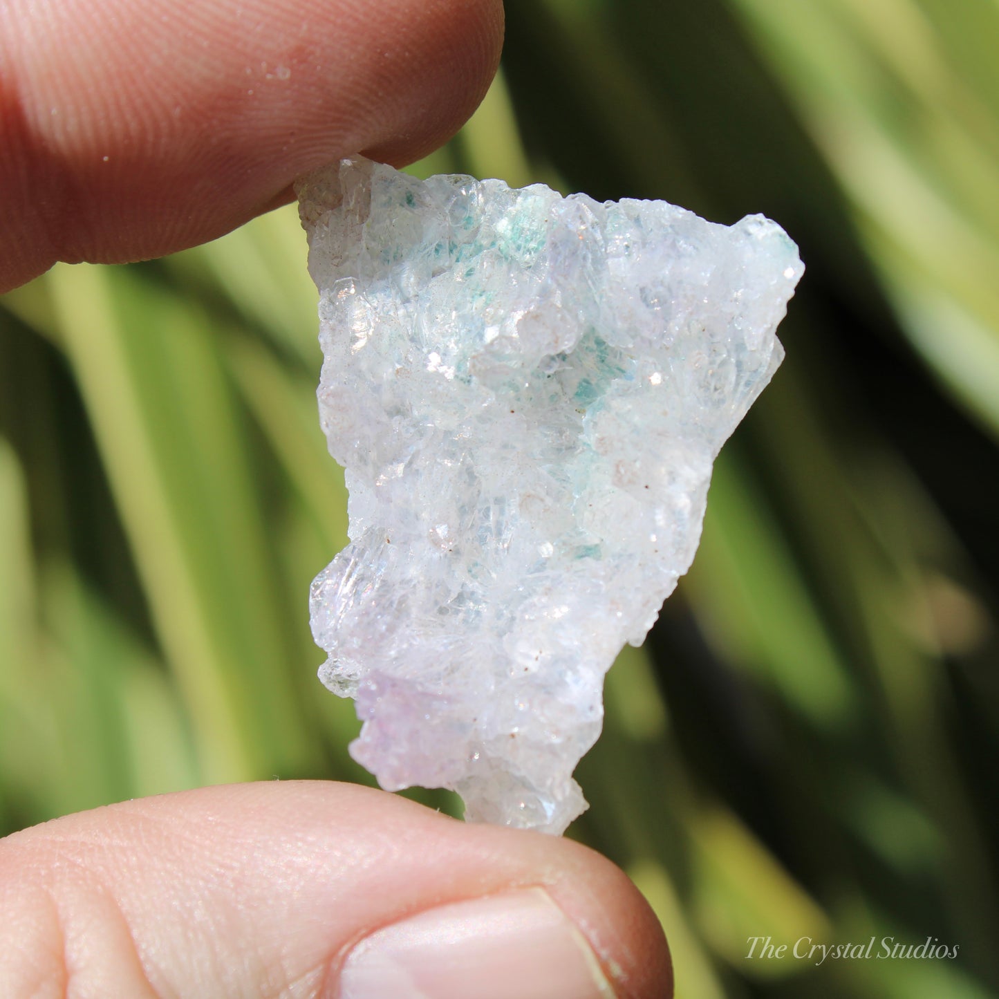 Flower Amethyst Natural Crystal Shard