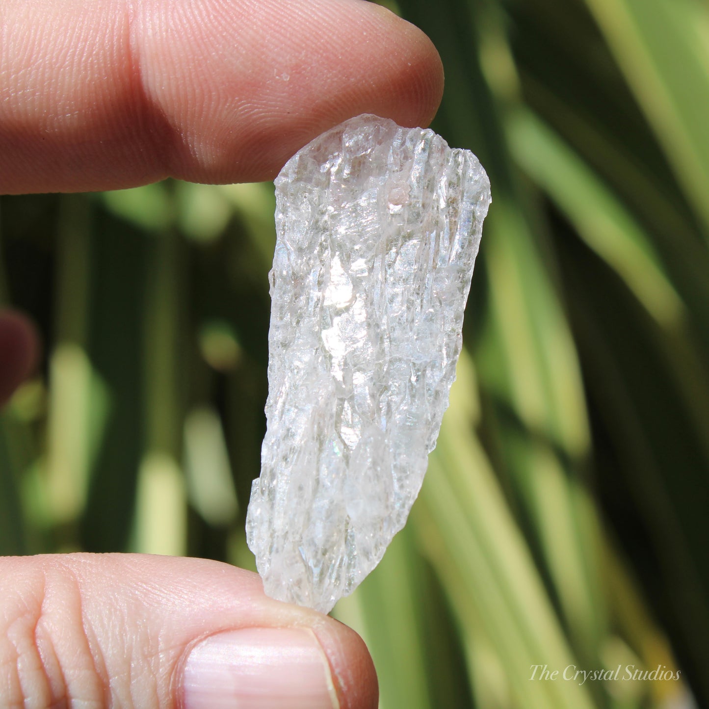 Flower Amethyst Natural Crystal Shard