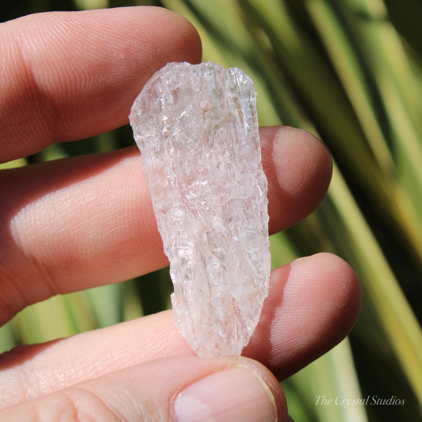 Flower Amethyst Natural Crystal Shard