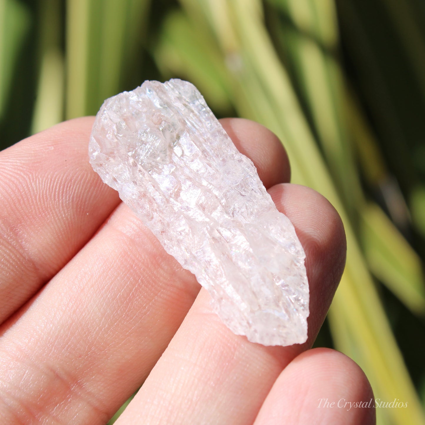 Flower Amethyst Natural Crystal Shard