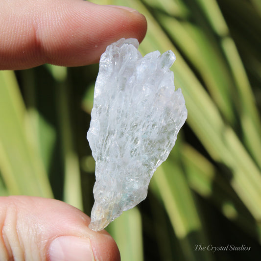 Flower Amethyst Natural Crystal Shard