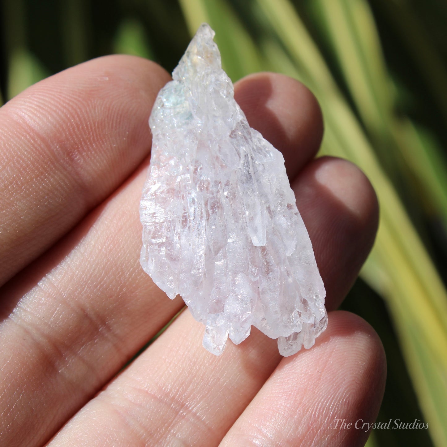 Flower Amethyst Natural Crystal Shard