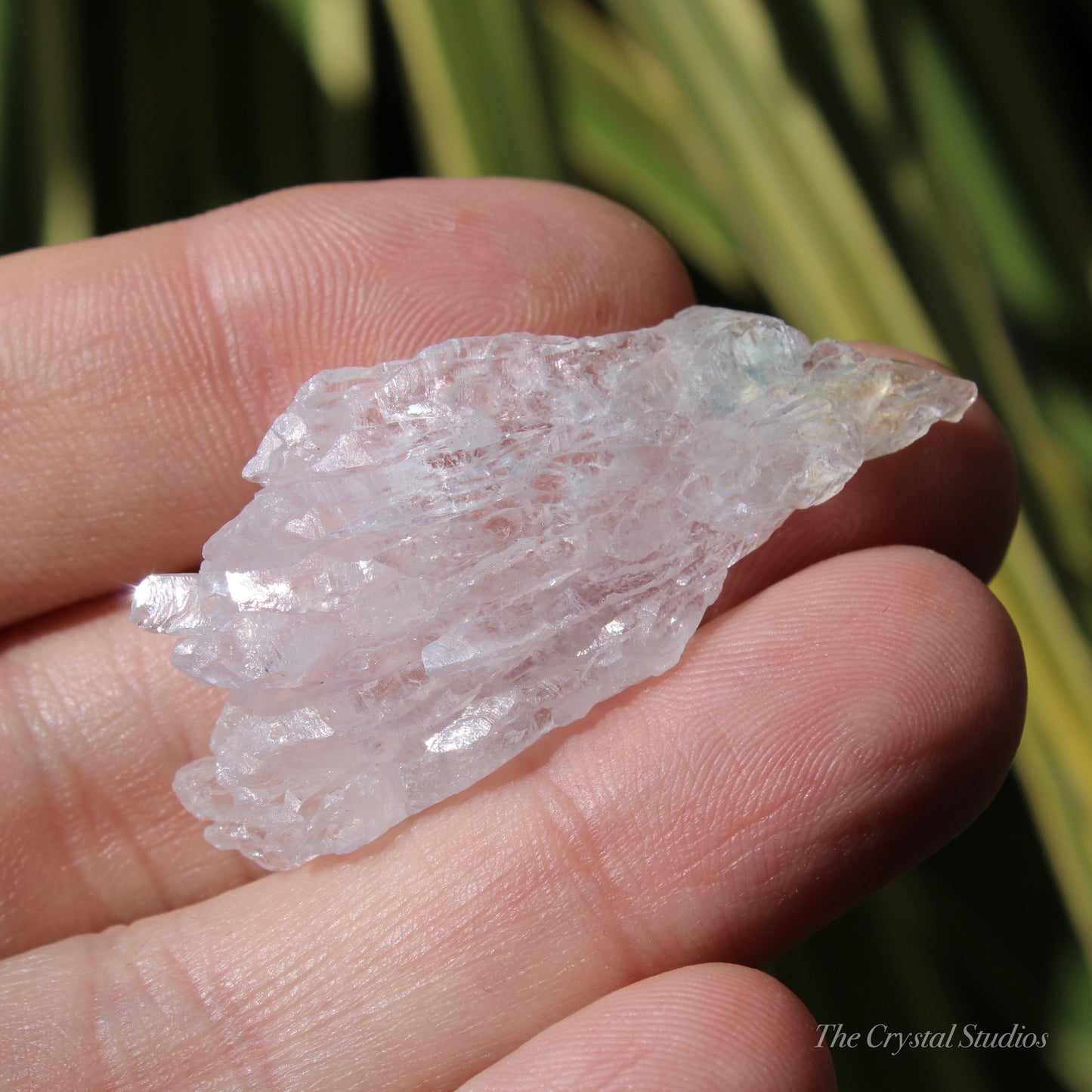 Flower Amethyst Natural Crystal Shard