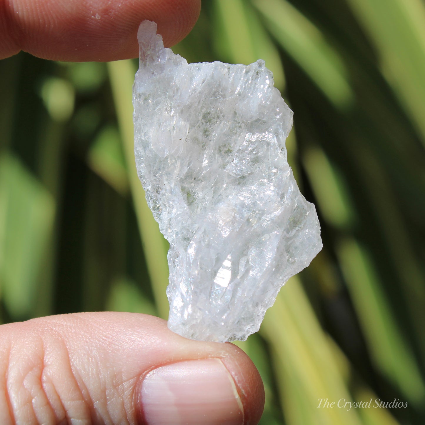 Flower Amethyst Natural Crystal Shard