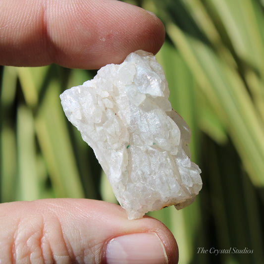 Flower Amethyst Natural Crystal Shard