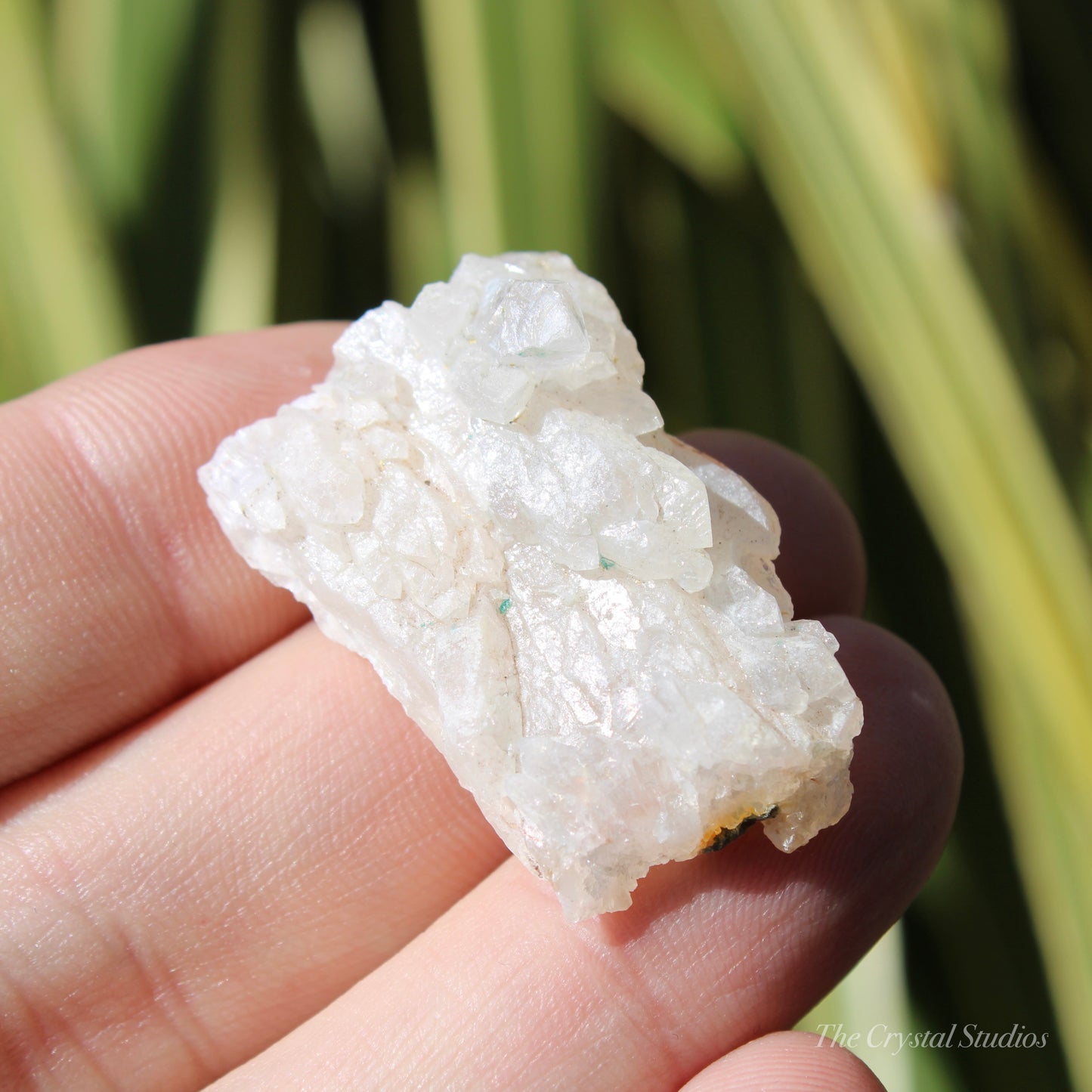 Flower Amethyst Natural Crystal Shard