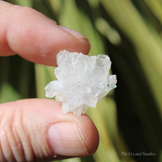 Flower Amethyst Natural Crystal Shard