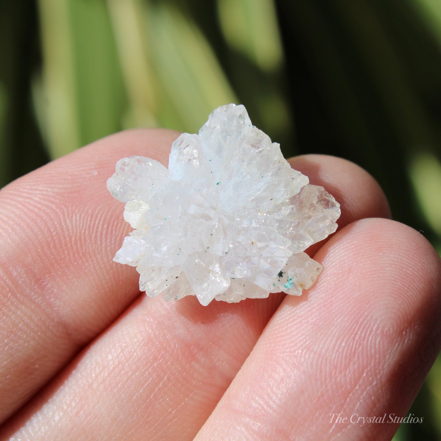 Flower Amethyst Natural Crystal Shard