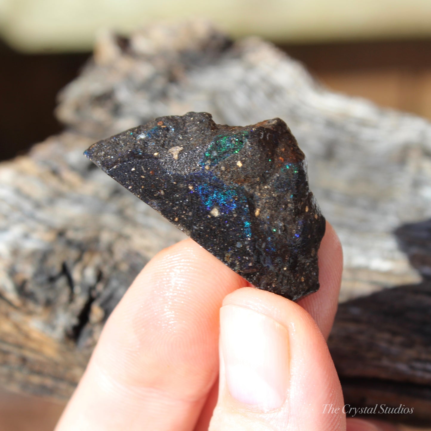 Honduran Black Opal Part Polished