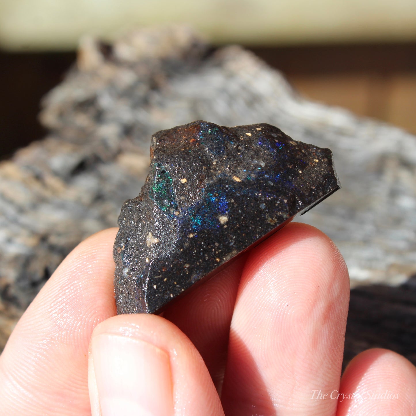 Honduran Black Opal Part Polished