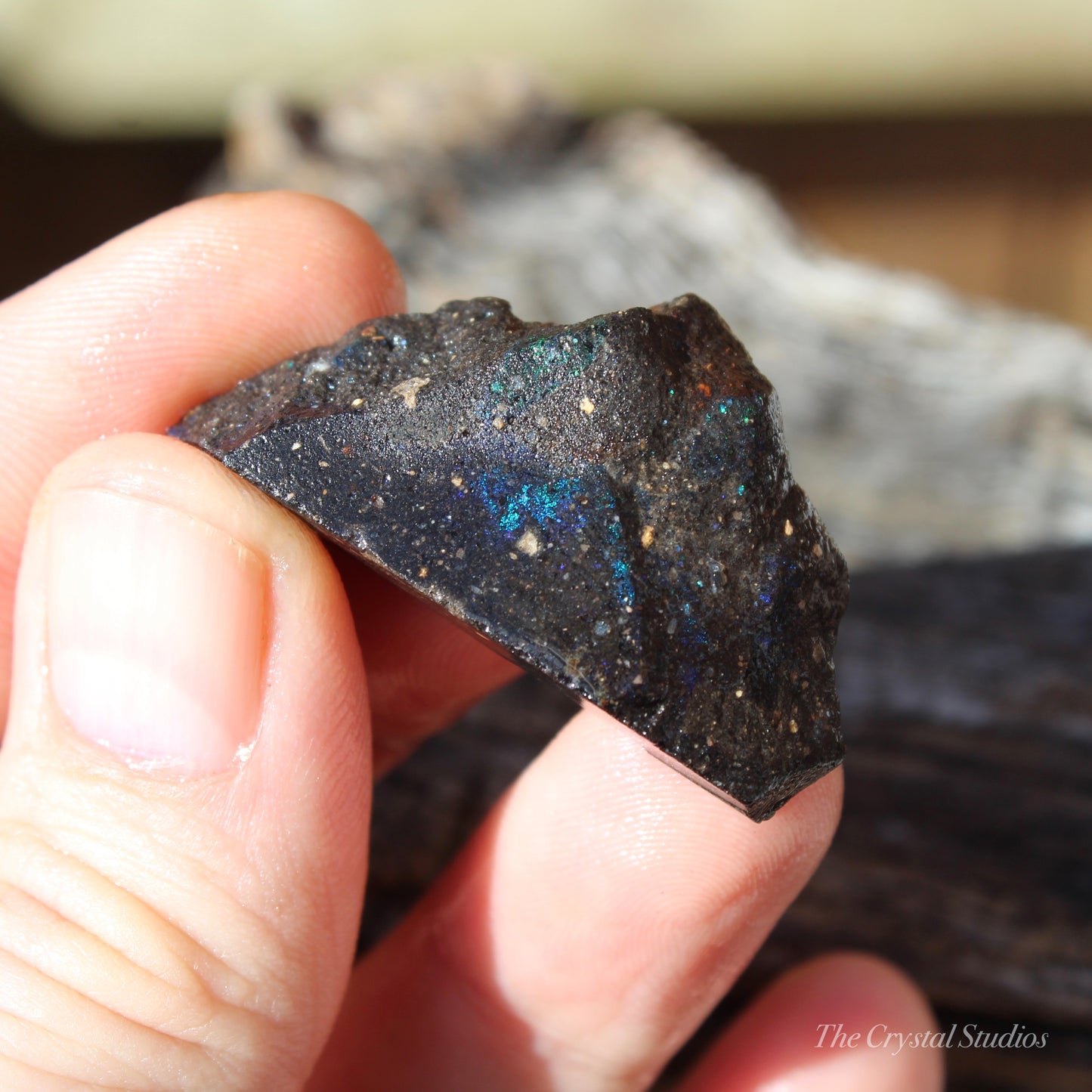 Honduran Black Opal Part Polished