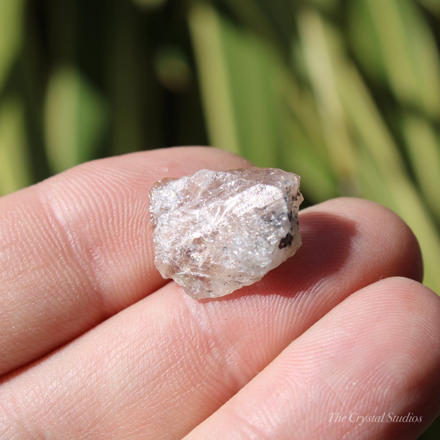 Magnesio Axinite Natural Crystal