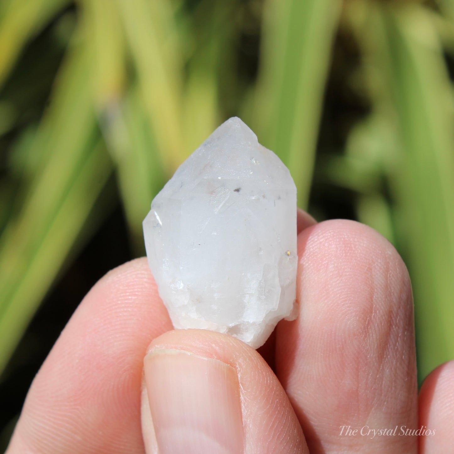 Holldanite Quartz Natural Point Crystal