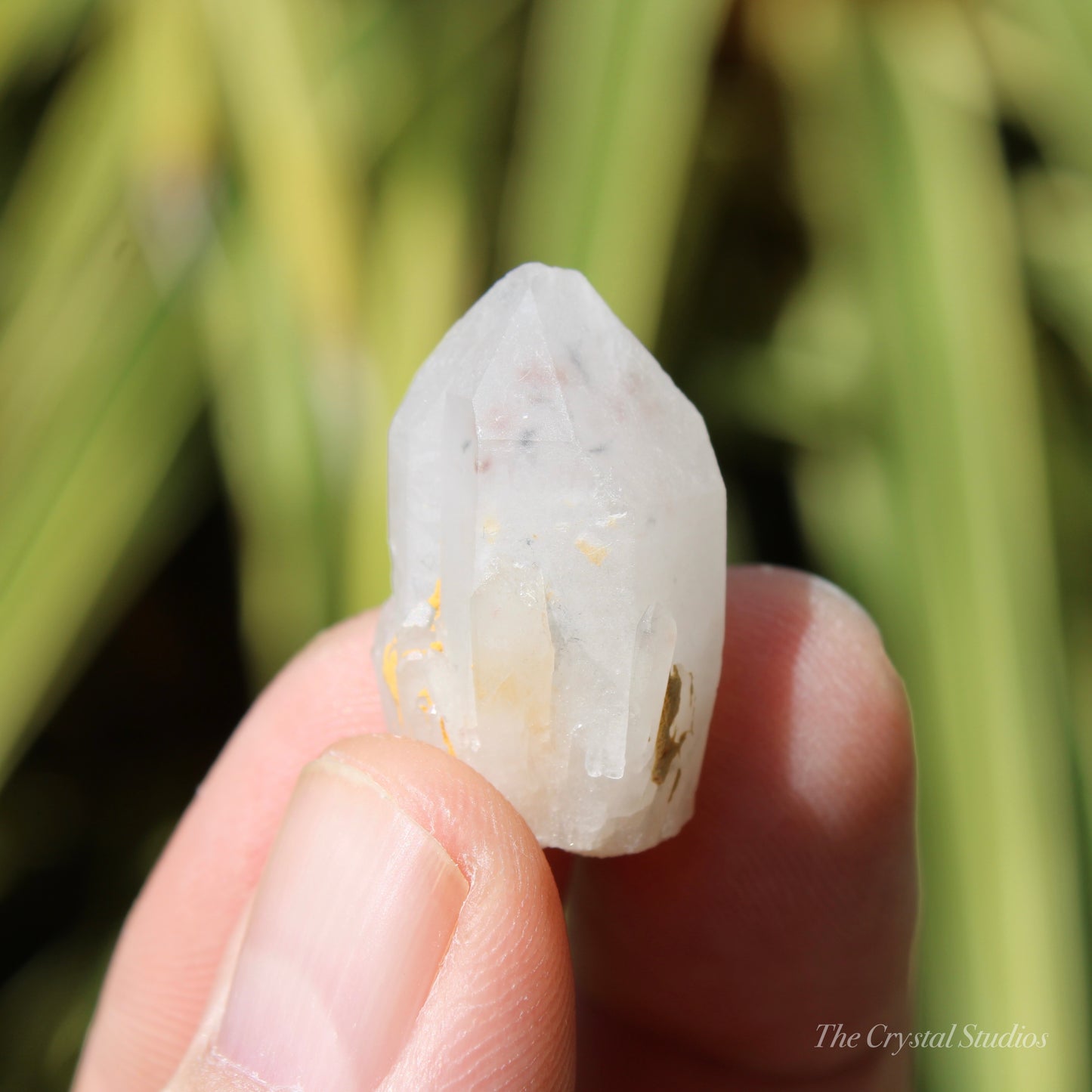 Holldanite Quartz Natural Point Crystal