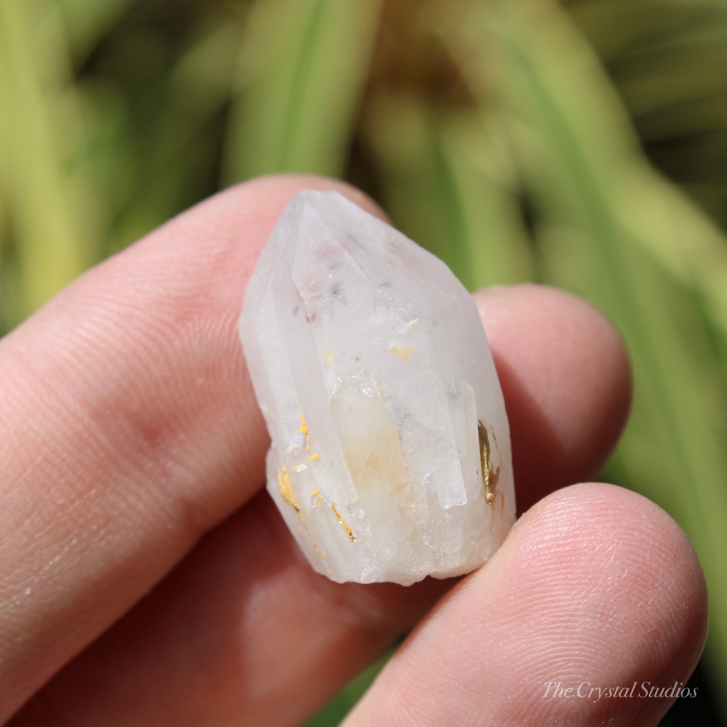 Holldanite Quartz Natural Point Crystal