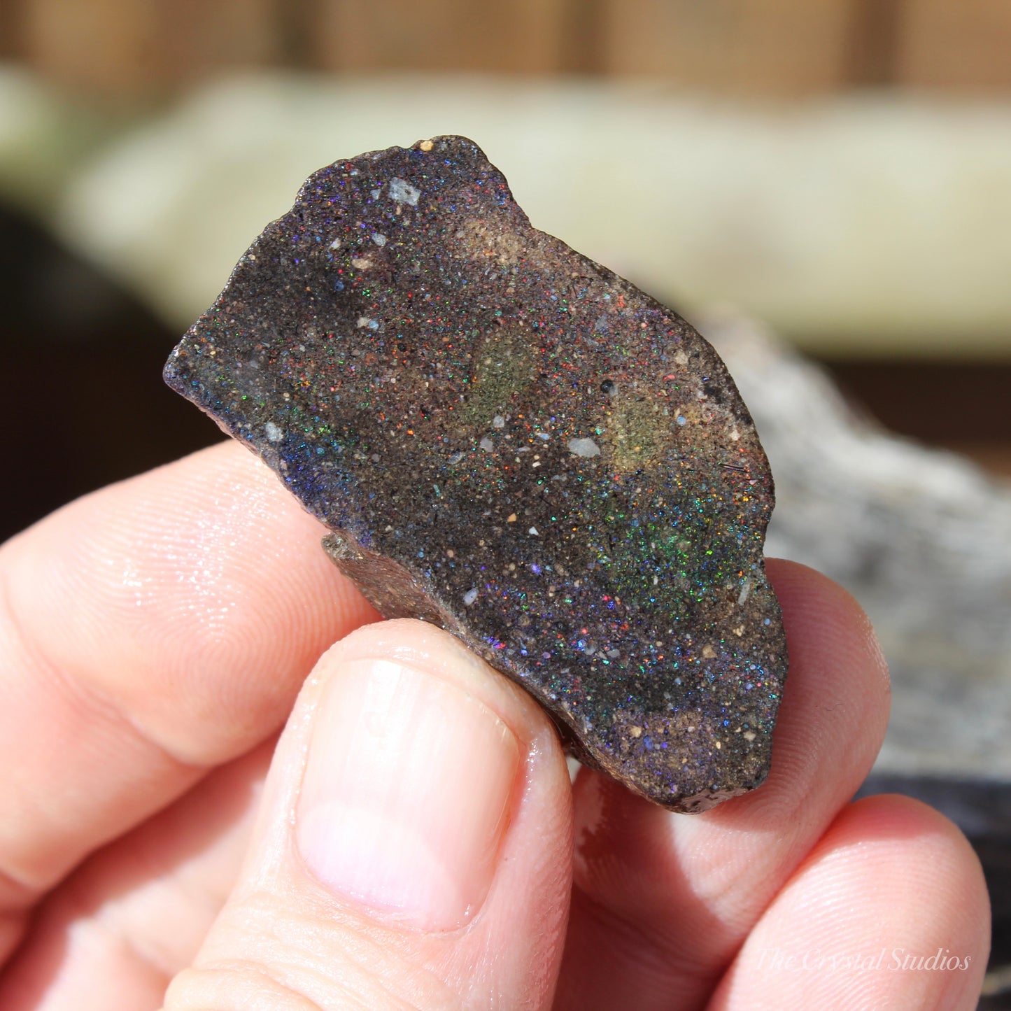 Honduran Black Opal Part Polished Crystal