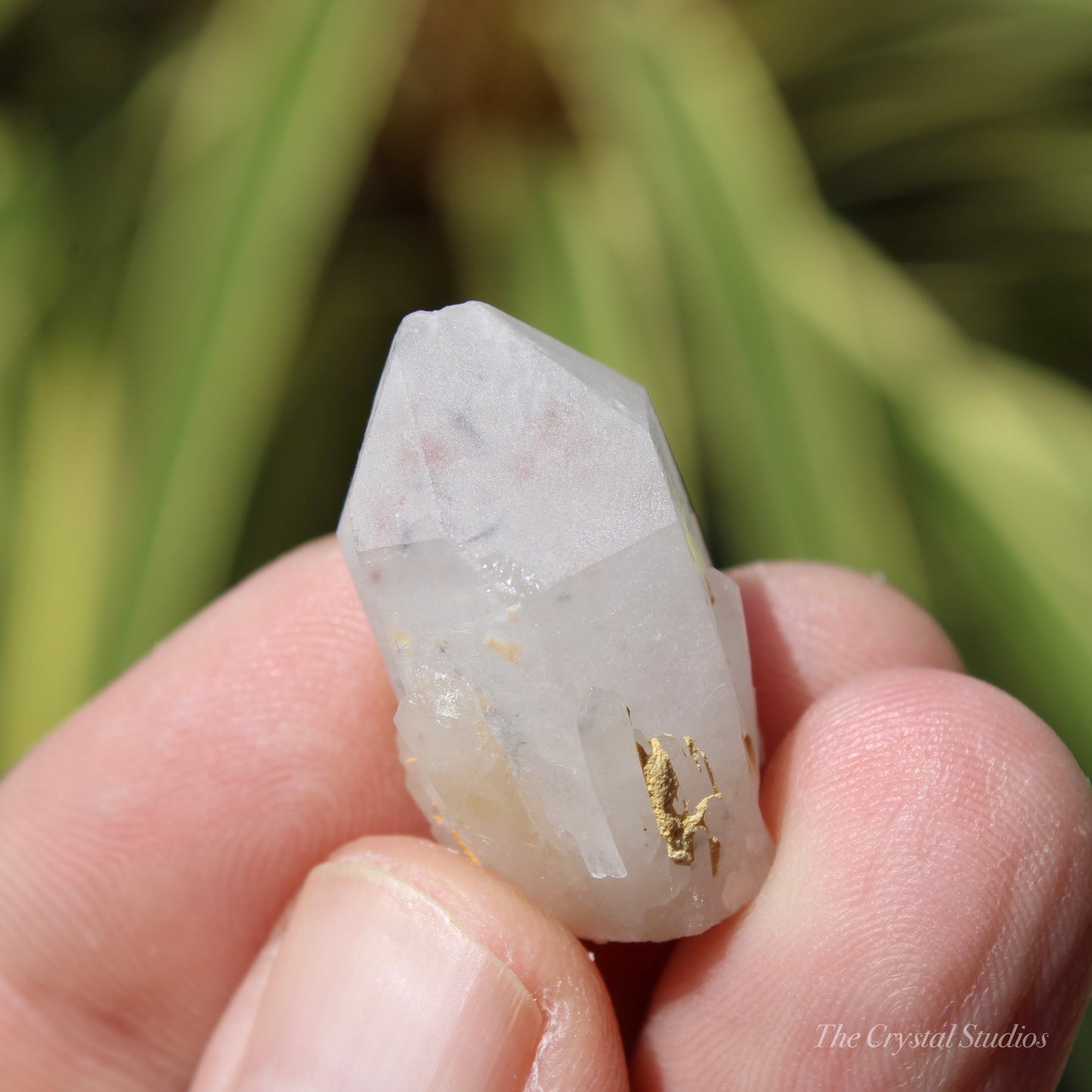 Holldanite Quartz Natural Point Crystal