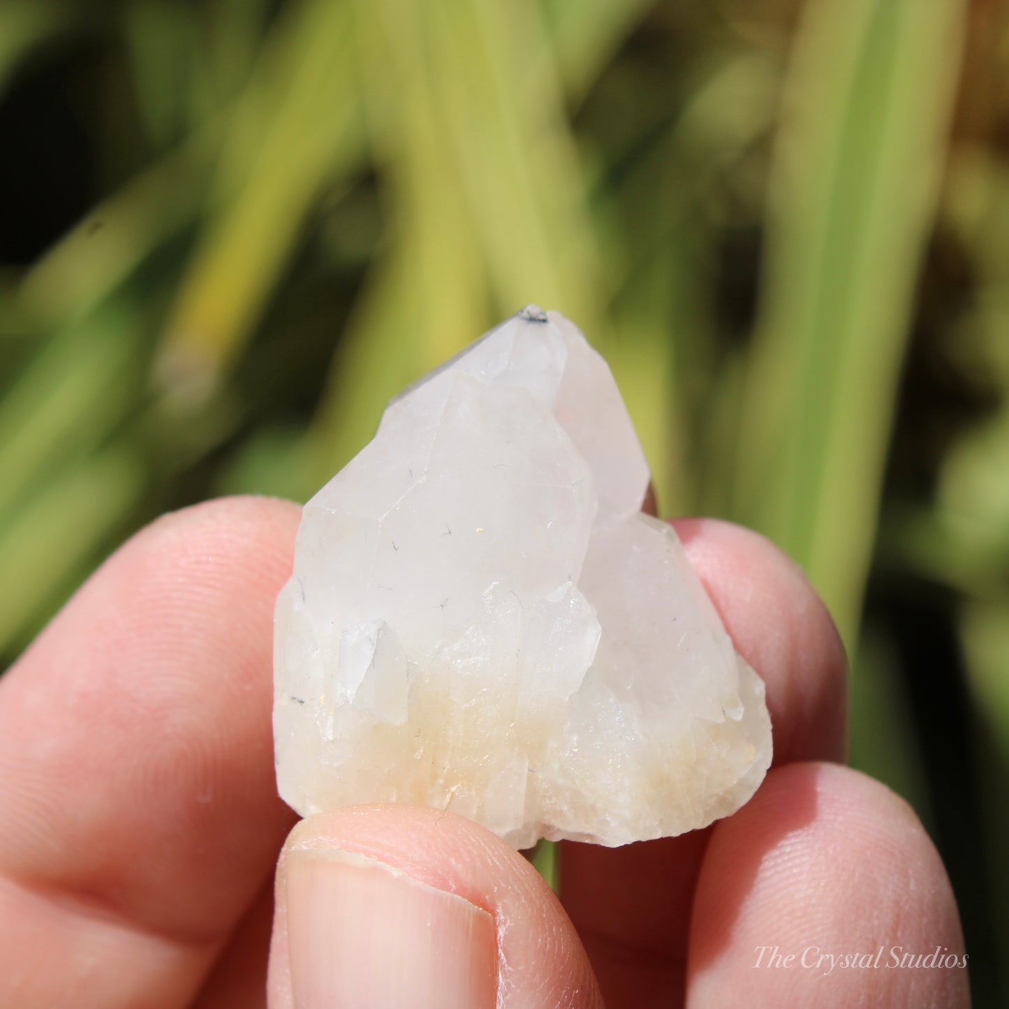 Holldanite Quartz Natural Cluster Crystal