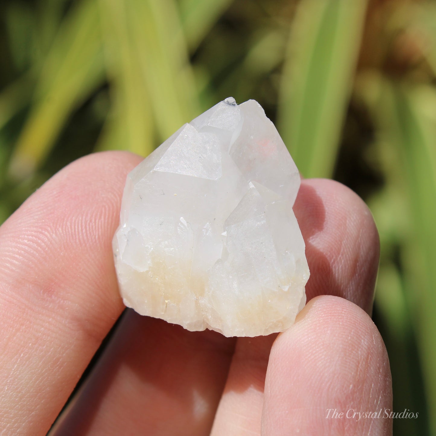 Holldanite Quartz Natural Cluster Crystal