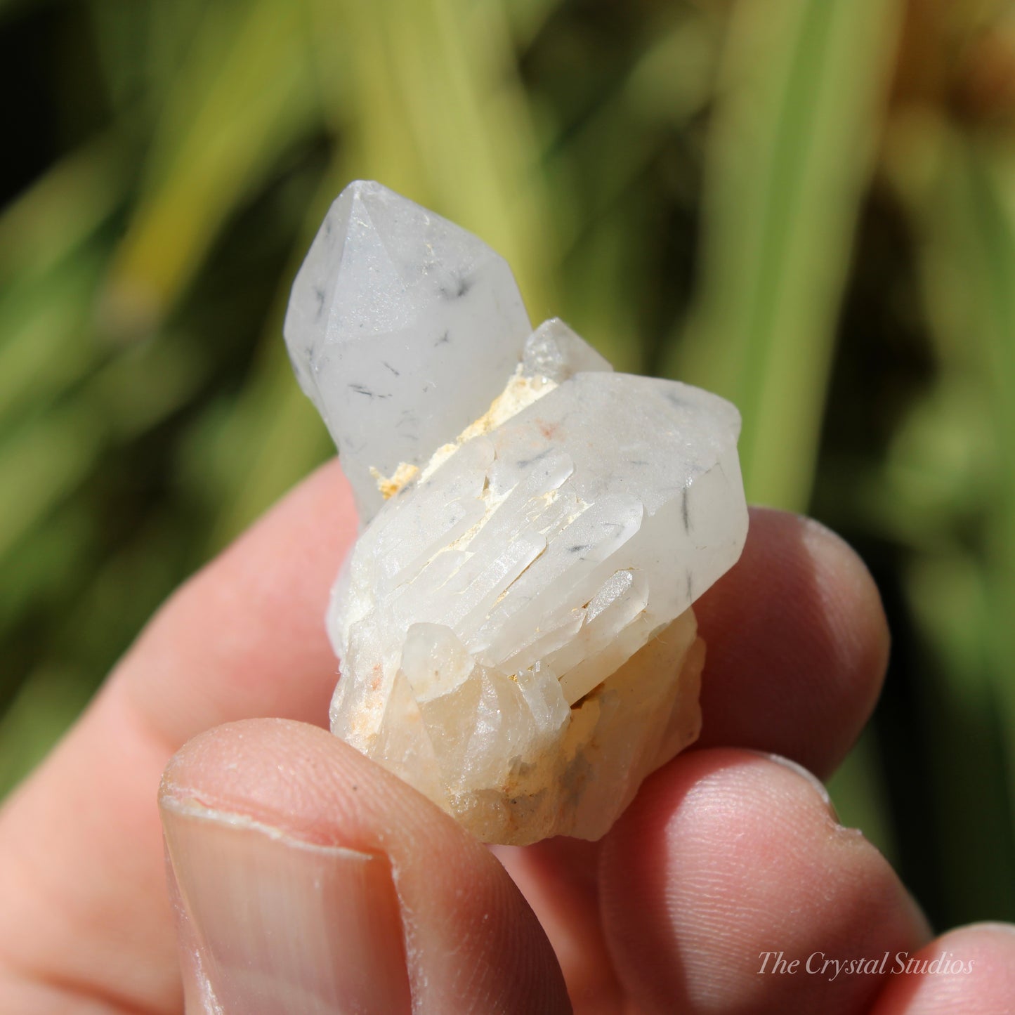 Holldanite Quartz Natural Twin Crystal