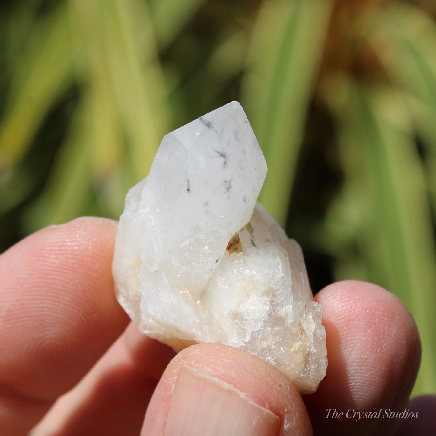 Holldanite Quartz Natural Twin Crystal