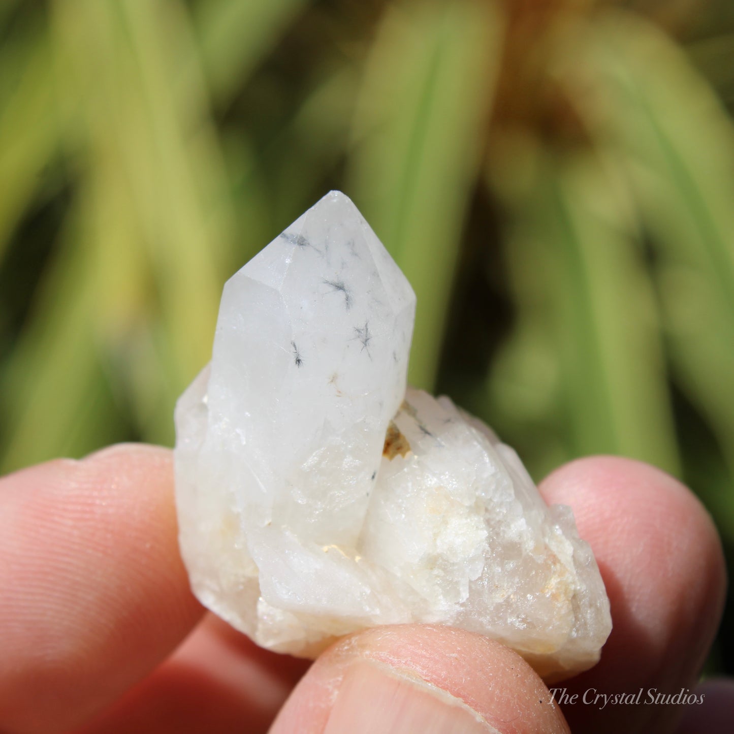 Holldanite Quartz Natural Twin Crystal