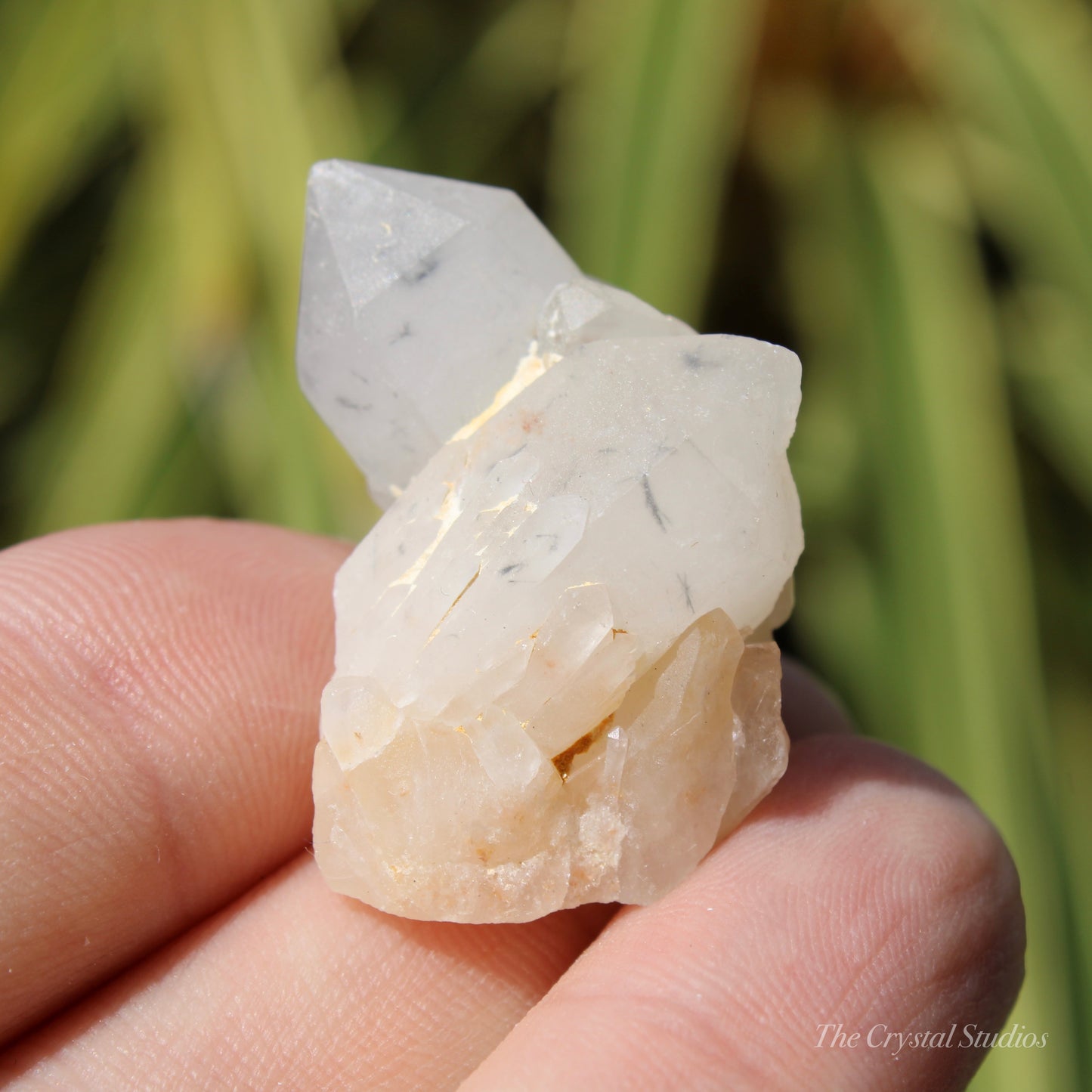 Holldanite Quartz Natural Twin Crystal