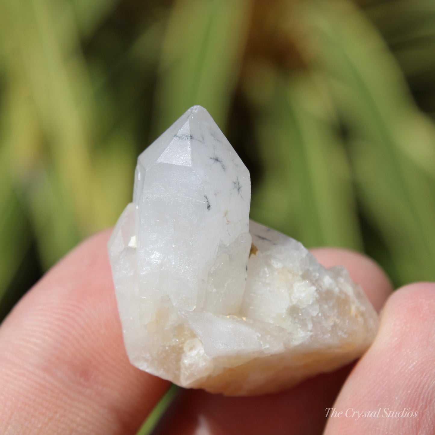 Holldanite Quartz Natural Twin Crystal