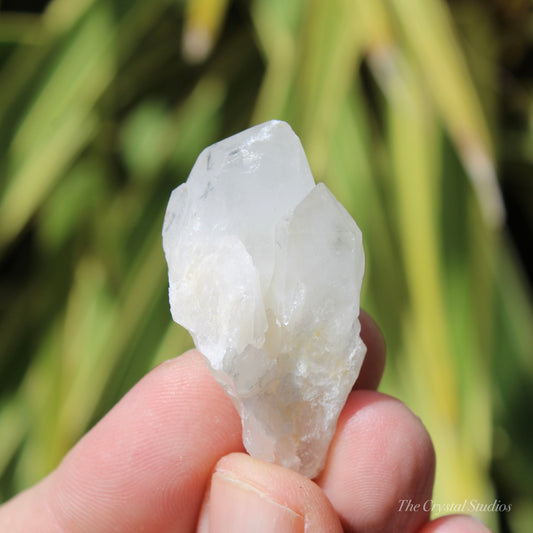 Holldanite Quartz Natural Point Crystal