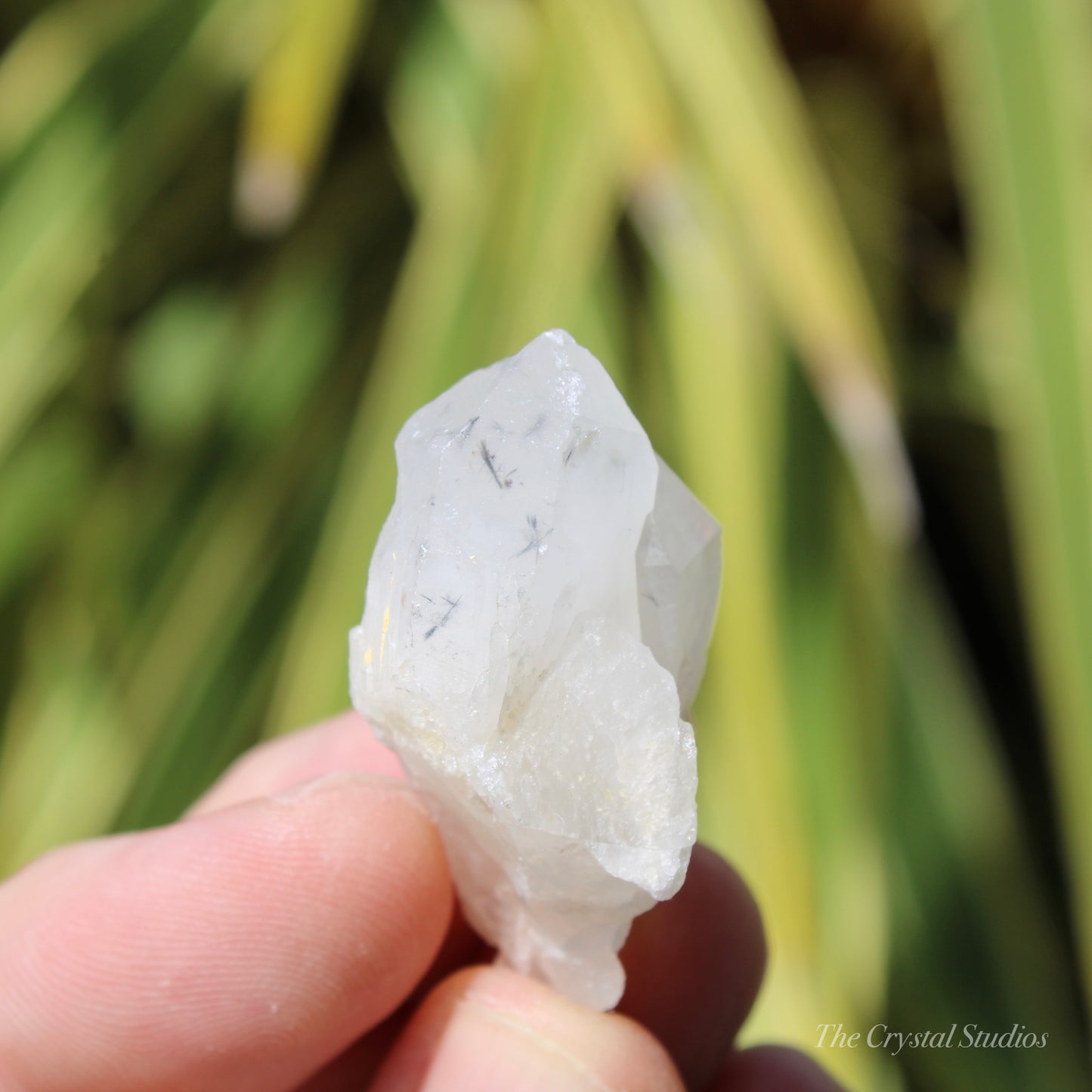 Holldanite Quartz Natural Point Crystal