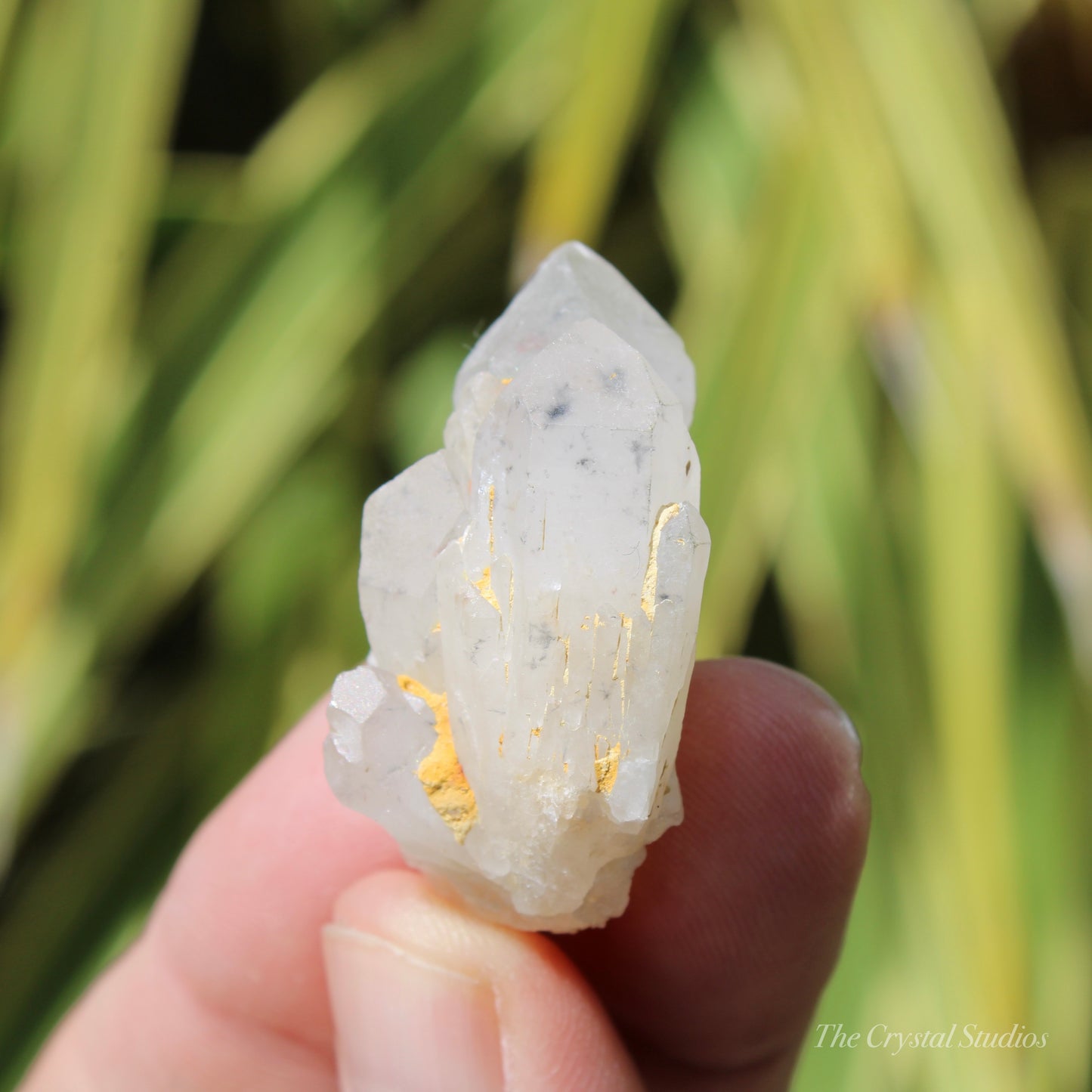 Holldanite Quartz Natural Cluster Crystal