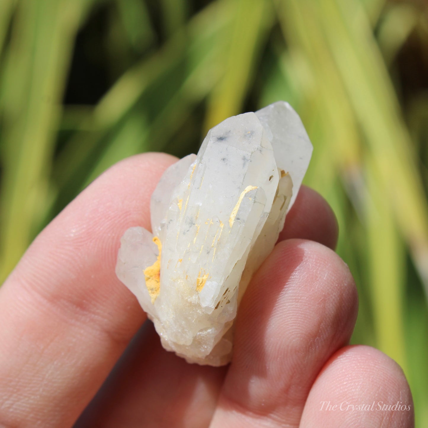 Holldanite Quartz Natural Cluster Crystal